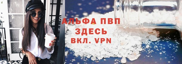 ECSTASY Белокуриха