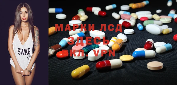 ECSTASY Белокуриха