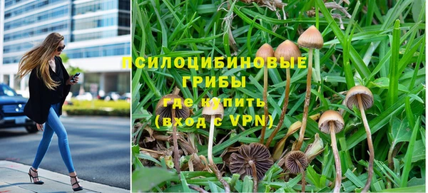 ECSTASY Белокуриха